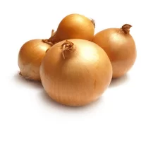 Onion