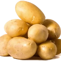 Potato
